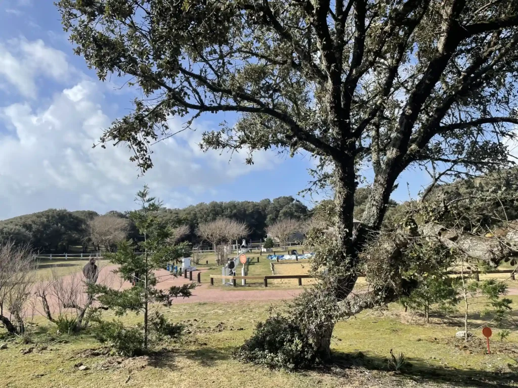 camping perroche plage scaled