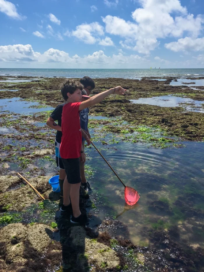 Activité pêche à pied en famille près d’un Camping Saint-Georges-d'Oléron