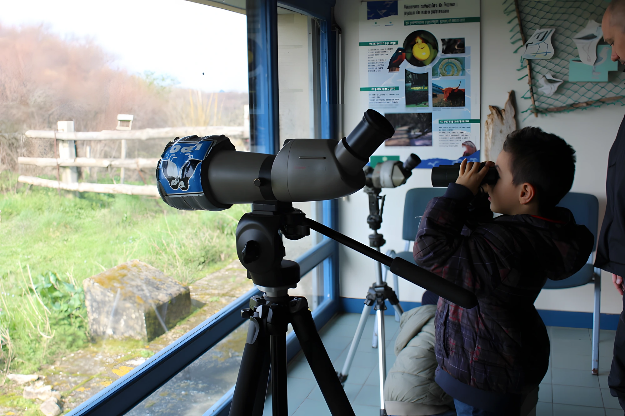 Birdwatching at the Baie d'Yves marsh nature reserve