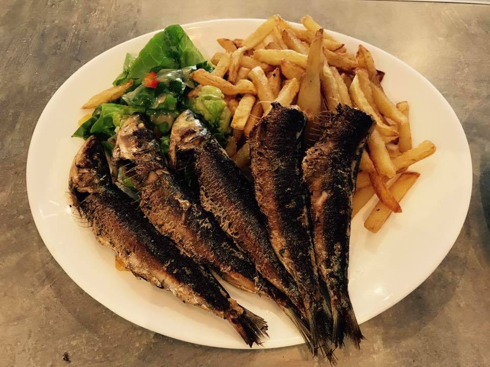 21762024 146131619237789 1835646540390920913 n